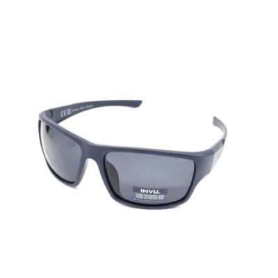 Invu Unisex Horn-Rimmed Polarized Sunglasses A2304